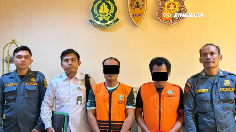 Empat Tersangka Ditetapkan dalam Kasus Perambahan Hutan Pendidikan UGM di Ngawi, Dua Excavator Disita
