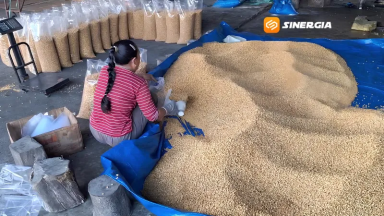 Harga Kedelai dan Minyak Goreng Melonjak, UMKM Ngawi Pangkas Produksi hingga Naikkan Harga Jual
