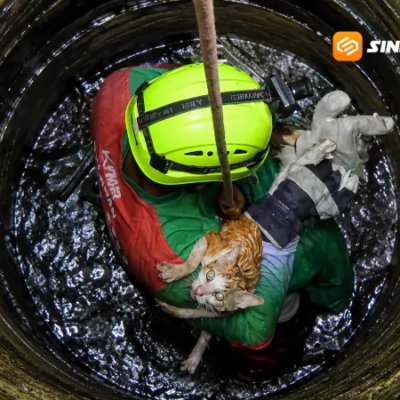 Aksi Heroik Damkar Ponorogo Evakuasi Kucing yang Tercebur Sumur Sempit Sedalam 20 Meter
