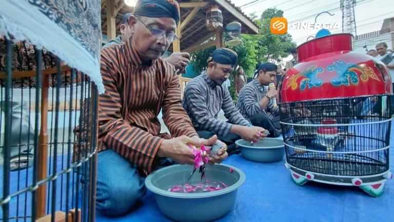 Jamasan Perkutut Katuranggan di Kota Madiun, Merawat Tradisi  Menghidupkan Budaya