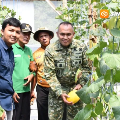 Bikin Kagum! Danrem Untoro Apresiasi Petani Milenial Ngawi yang Sukses Sulap Green House Jadi Ladang Cuan