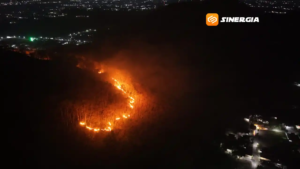 Kebakaran Hutan Gunung Gombak Ponorogo Hanguskan Sekitar 15 Hektar, Api Dipadamkan Setelah Delapan Jam