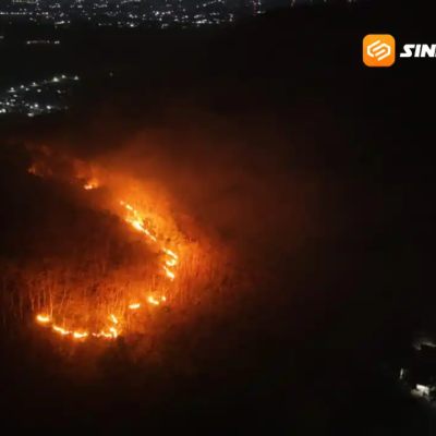 Kebakaran Hutan Gunung Gombak Ponorogo Hanguskan Sekitar 15 Hektar, Api Dipadamkan Setelah Delapan Jam