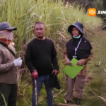 18,6 Juta Mata Bibit Tebu Bersertifikat Disalurkan ke Madiun, Jadi Modal Tingkatkan Produksi Gula Nasional