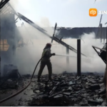 Kebakaran Kandang Ayam di Magetan, Puluhan Ribu Ayam Mati Terpanggang, Kerugian Ditaksir Capai Rp3 Miliar