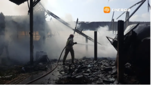 Kebakaran Kandang Ayam di Magetan, Puluhan Ribu Ayam Mati Terpanggang, Kerugian Ditaksir Capai Rp3 Miliar