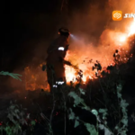 Kebakaran Hutan Rakyat Landa Gunung Dloko dan Gunung Gede di Ponorogo