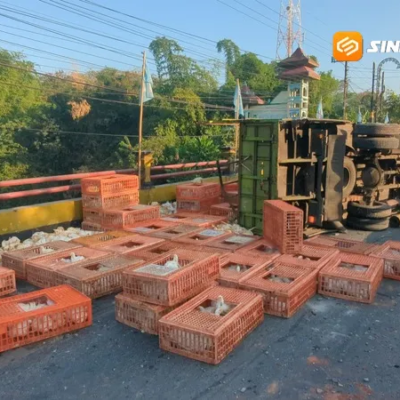 Truk Muatan Ayam Terguling di Jembatan Catur Madiun, Sopir Diduga Kurang Konsentrasi hingga Serempet Bus Restu