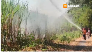 Memasuki Musim Kemarau, Kebakaran Lahan di Magetan Melonjak Tajam, Damkar Catat 49 Kasus hingga Akhir Juli