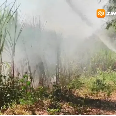 Memasuki Musim Kemarau, Kebakaran Lahan di Magetan Melonjak Tajam, Damkar Catat 49 Kasus hingga Akhir Juli