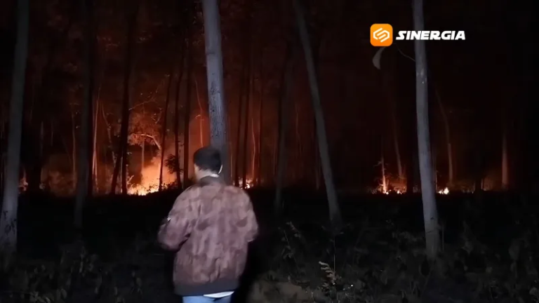 Hutan Jati Terbakar Hebat di Sampung, Asap Ganggu Jalur Ponorogo–Magetan