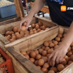 Harga Telur di Pasar Ngawi Melonjak Jadi Rp27 Ribu per Kilogram, Ini Keluhan Pedagang