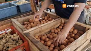 Harga Telur di Pasar Ngawi Melonjak Jadi Rp27 Ribu per Kilogram, Ini Keluhan Pedagang