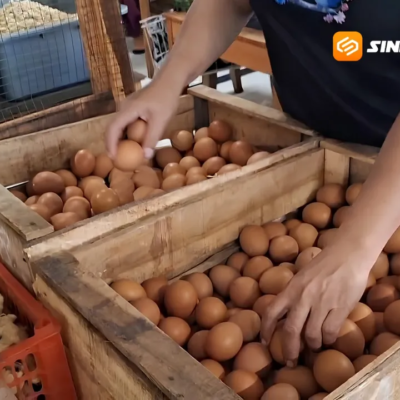 Harga Telur di Pasar Ngawi Melonjak Jadi Rp27 Ribu per Kilogram, Ini Keluhan Pedagang