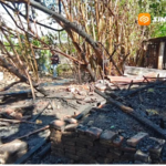 Ditinggal Memasak, Dapur dan Kandang di Magetan Terbakar, Tujuh Kambing Mati Terpanggang