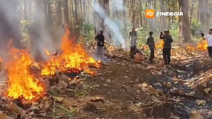 Tiga Pilar di Madiun Siagakan Personel Hadapi Ancaman Karhutla Bareng Masyarakat Tepian Hutan