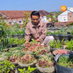 Inspiratif! Seorang Guru Sulap Dak Lantai Tiga Jadi Kebun Ketahanan Pangan, Tanam Karakter Siswa Lewat Praktik Nyata
