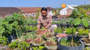 Inspiratif! Seorang Guru Sulap Dak Lantai Tiga Jadi Kebun Ketahanan Pangan, Tanam Karakter Siswa Lewat Praktik Nyata
