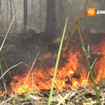 Hutan Lindung Perhutani Terbakar ,Warga Siaga Antisipasi Api mendekati Pemukiman 