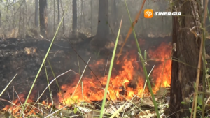Hutan Lindung Perhutani Terbakar ,Warga Siaga Antisipasi Api mendekati Pemukiman 