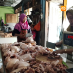 Musim Hajatan dan MBG Dongkrak Harga Ayam, Telur Malah Sepi Peminat