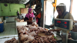 Musim Hajatan dan MBG Dongkrak Harga Ayam, Telur Malah Sepi Peminat
