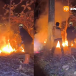 Hutan Jati Gunung Bungkuk Magetan Terbakar, Api Merembet dari Parang Hill akibat Angin Kencang