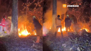 Hutan Jati Gunung Bungkuk Magetan Terbakar, Api Merembet dari Parang Hill akibat Angin Kencang