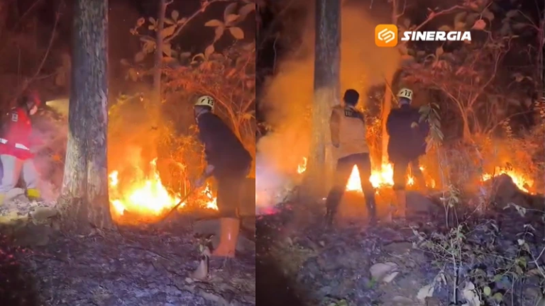 Hutan Jati Gunung Bungkuk Magetan Terbakar, Api Merembet dari Parang Hill akibat Angin Kencang