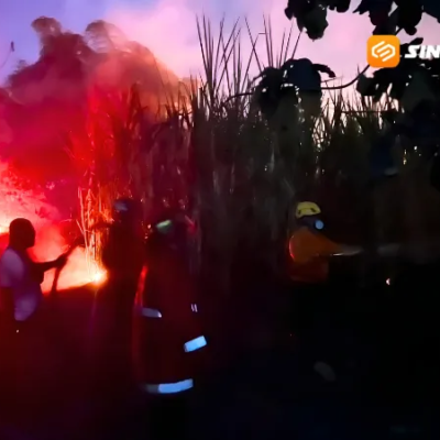 Musim Kemarau, Lahan Tebu dan Rumpun Bambu di Madiun Jadi Titik Rawan Karhutla