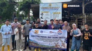 Kecacingan Domba Bisa Pangkas Nilai Produksi hingga Jutaan Rupiah per Bulan