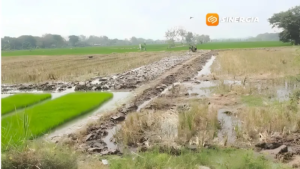Musim Kemarau, DPUPR Magetan Andalkan 125 Sumur untuk Jaga Pasokan Air 27 Ribu Hektare Sawah