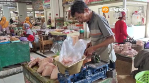 Harga Ayam Potong di Ngawi Tembus Rp43 Ribu per Kilogram, Pedagang Kuliner Tertekan