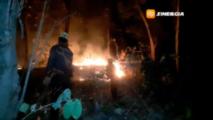 Hutan Gunung Bancak Terbakar, Warga Khawatir Api Merembet ke Permukiman