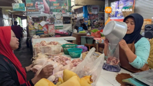 Harga Daging Ayam Naik hingga Rp40 Ribu per Kg, Pedagang Magetan Kehilangan Separuh Penjualan