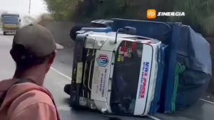 Truk Bermuatan Mangga dan Perabotan Terguling di Jalur Ekstrem Sarangan, Dua Penumpang Luka Ringan