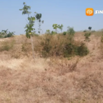 Tujuh Tahun Menunggu, TPA Botok Magetan Tak Kunjung Dibangun, Petani Khawatir Jadi Sarang Hama
