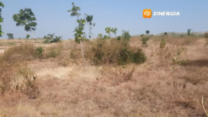 Tujuh Tahun Menunggu, TPA Botok Magetan Tak Kunjung Dibangun, Petani Khawatir Jadi Sarang Hama