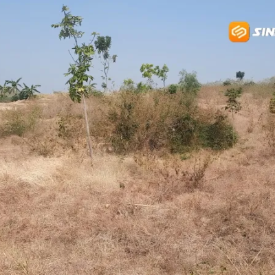 Tujuh Tahun Menunggu, TPA Botok Magetan Tak Kunjung Dibangun, Petani Khawatir Jadi Sarang Hama