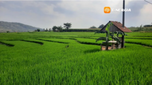Luasan LP2B Magetan Diusulkan Naik Jadi 23 Ribu Hektare