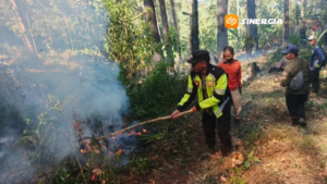 Kebakaran Lahan di Lereng Gunung Lawu Dipadamkan, Polisi Dalami Penyebabnya