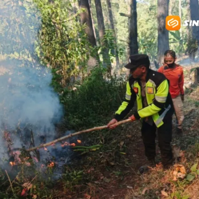 Kebakaran Lahan di Lereng Gunung Lawu Dipadamkan, Polisi Dalami Penyebabnya