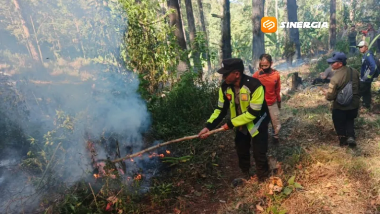Kebakaran Lahan di Lereng Gunung Lawu Dipadamkan, Polisi Dalami Penyebabnya