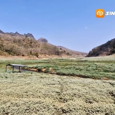 Waduk Bendo Surut, Warga Ngadirojo Manfaatkan Lahan Jadi Area Pertanian musiman