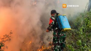 TNI dan Warga Berjibaku di Tengah Kepungan Api Hutan Ngrayun Ponorogo