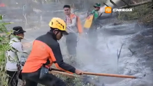 Kebakaran Hutan Lereng Gunung Lawu, Diduga Akibat Pembukaan Lahan