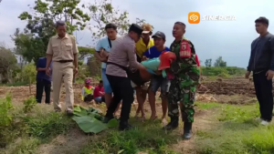 Jatuh di Area Persawahan, Petani di Tawanganom Magetan Meninggal Dunia
