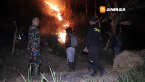 Kebakaran Hutan Gunung Prongos, 5 Hektare Vegetasi Terbakar