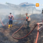 Lahan 10 Hektare di Mojopurno Madiun Terbakar, Api Nyaris Merambat ke Permukiman
