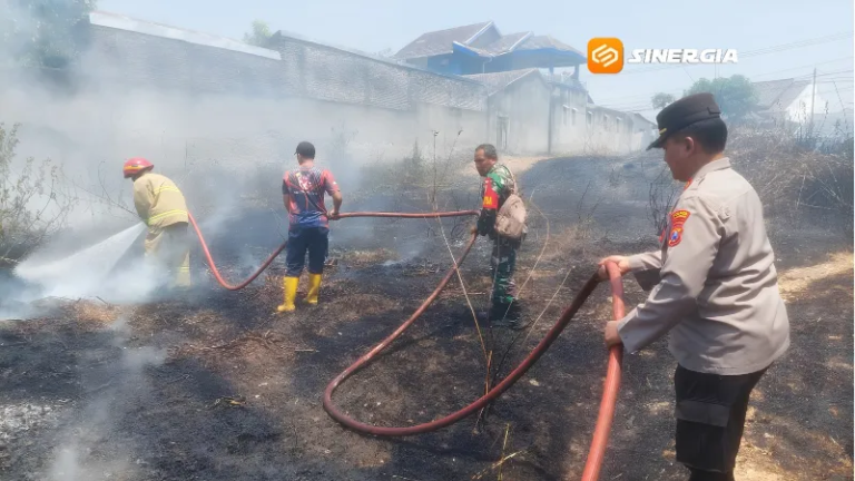 Lahan 10 Hektare di Mojopurno Madiun Terbakar, Api Nyaris Merambat ke Permukiman